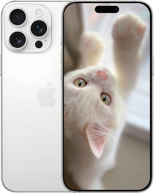 iP 16 프로 맥스 미개봉 새상품폰, 256GB, White 아이폰 16 Pro Max