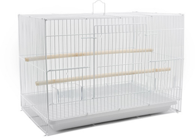 소형 앵무새 새장 케이지 철장 사랑 모란 유리 빗창앵무, 화이트, 1개