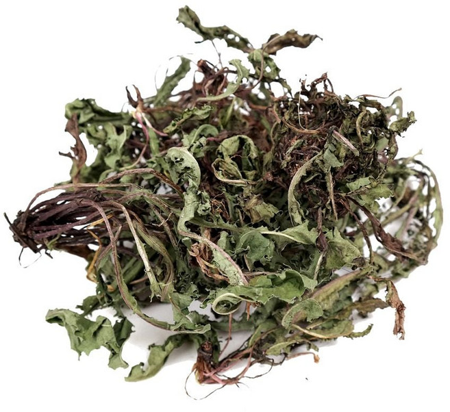 신선약초 국산 건조 민들레 잎 300g 포공영 말린 약초 ala+5799YA, 1개