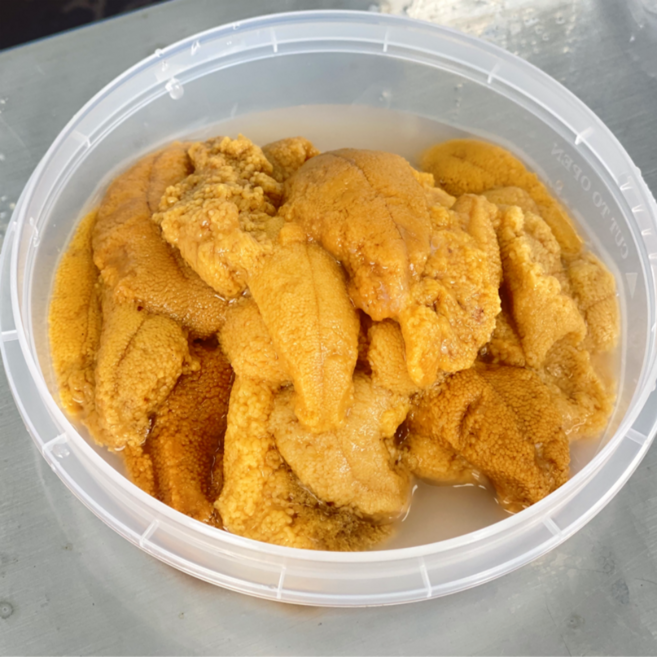 [포항직송] 국내산 100% 우니 성게알 정품 보라성게 말똥성게, 1개, 100g