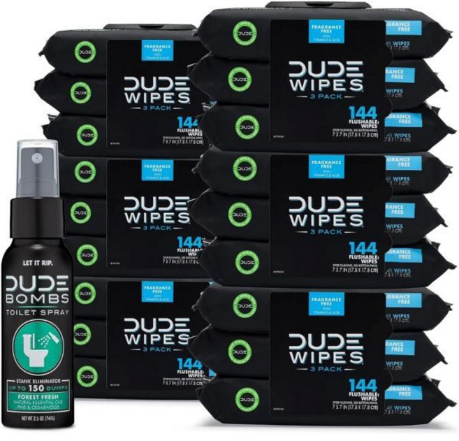 듀드 물티슈 폭탄 화장실 스프레이로 세척 가능한 18팩 864개 수 스프레이 병 1개 비타민 E와 알로에를 함유한 무향 초대형 성인용 포레스트 프레시 스탱크 제거제, Fragrance Free_48 Count (Pack, 48 Count (Pack of 18)