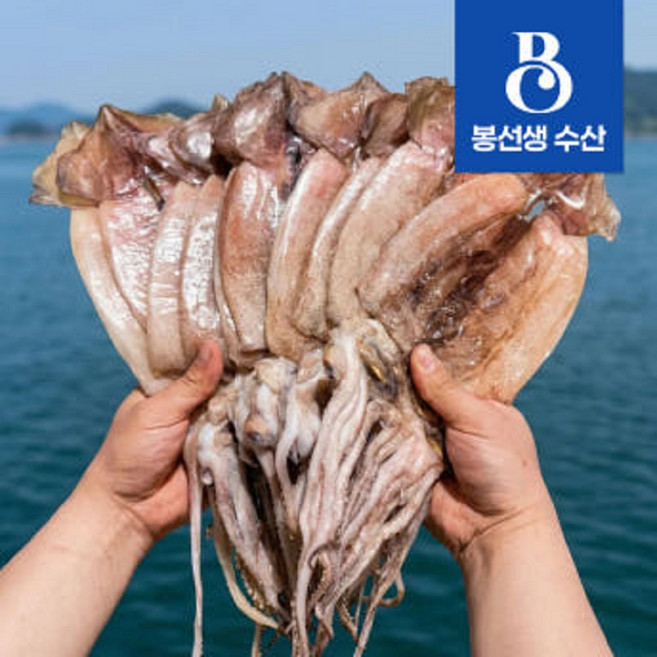 봉선생수산 반건조 오징어 피데기 5미 10미 마른 오징어 파지, 1개, 중(10미)