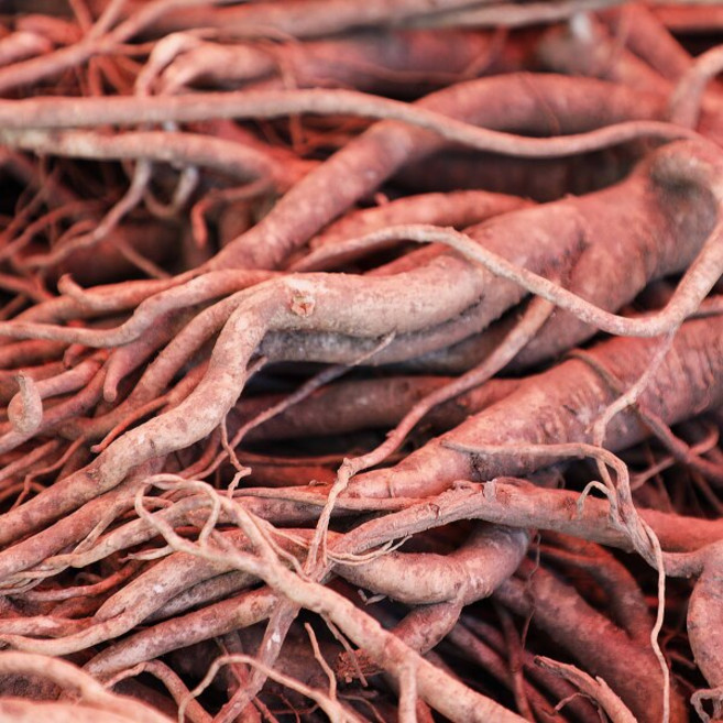 [더자인] 영양가득 흙약도라지 특품 1kg, 1개, 상세 설명 참조