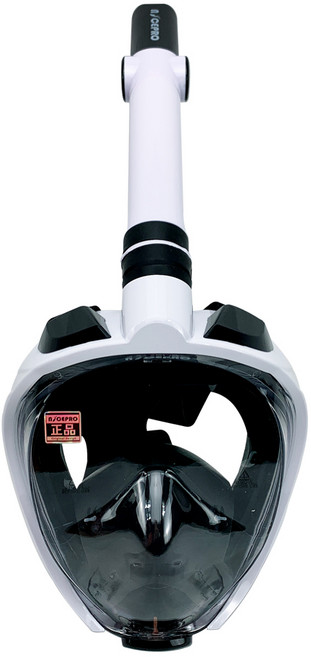 나이스프로 풀페이스 프로페셔널 스노쿨링마스크, 블랙앤화이트