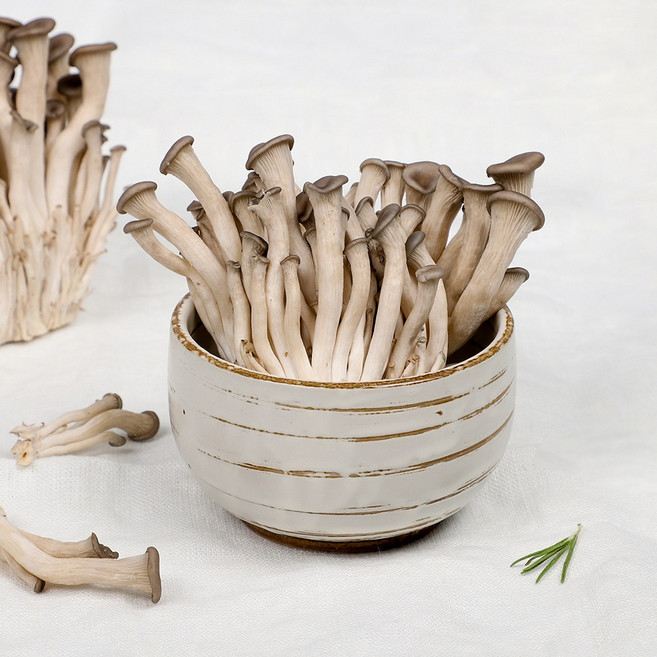 {용이네}산지직송 무농약 느타리버섯 애느타리버섯 새송이버섯 표고버섯 팽이버섯 느타리버섯 GAP인증, 1개, 2kg(10팩)