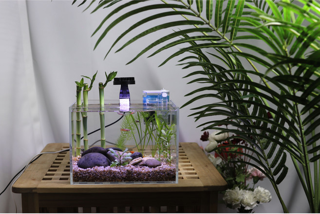 25cm 미니 수초 올디아망 어항세트 구피 새우 베타 개운죽키우기, 1개