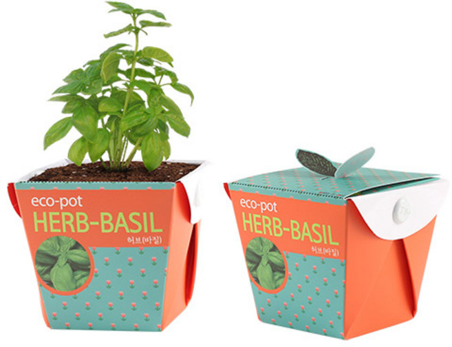 포픽 작두콩 봉선화 바질 방울토마토해바라기 재배 키트, 에코팟_바질, 1개