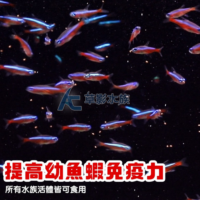 【AC草影】去殼豐年蝦卵（135ml）魚蝦飼料：幼魚、仔魚適用 水族紅蓮燈、燈魚、米蝦, 1個