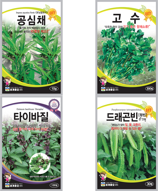동남아 채소 씨앗 4종 세트 모음 공심채 고수 타이바질 드래곤빈 각 1봉씩 4봉 텃밭 채소 씨, 1개