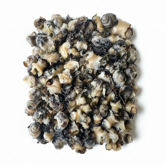 국내산 논우렁 우렁이살 (냉동) 진안 양평, 1개, 논우렁 1kg