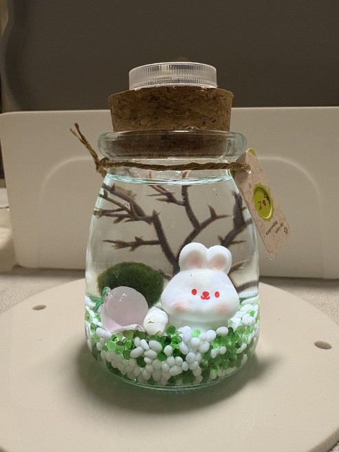 DIY 療癒 Marimo 景觀生態瓶, 5個