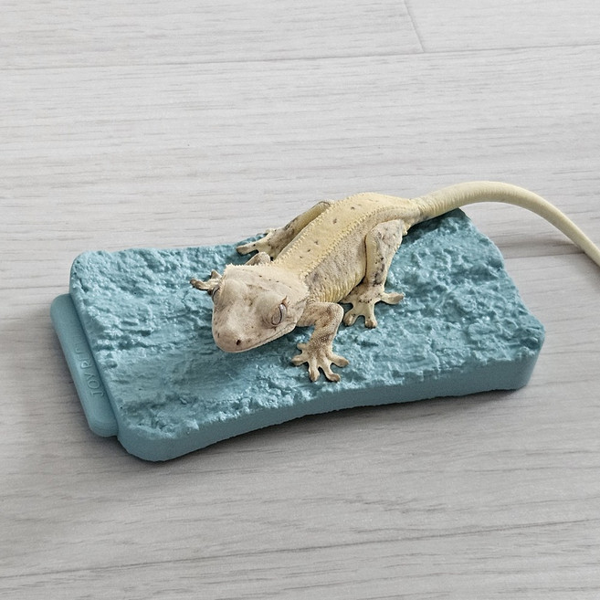 크레스티드 게코 인조 코르크 탈피보드, 1개, 민트