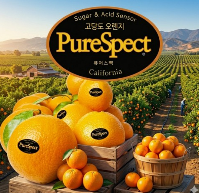 항공직송 정품 프리미엄 고당도 썬키스트 퓨어스펙 오렌지, 1박스, 대과20과
