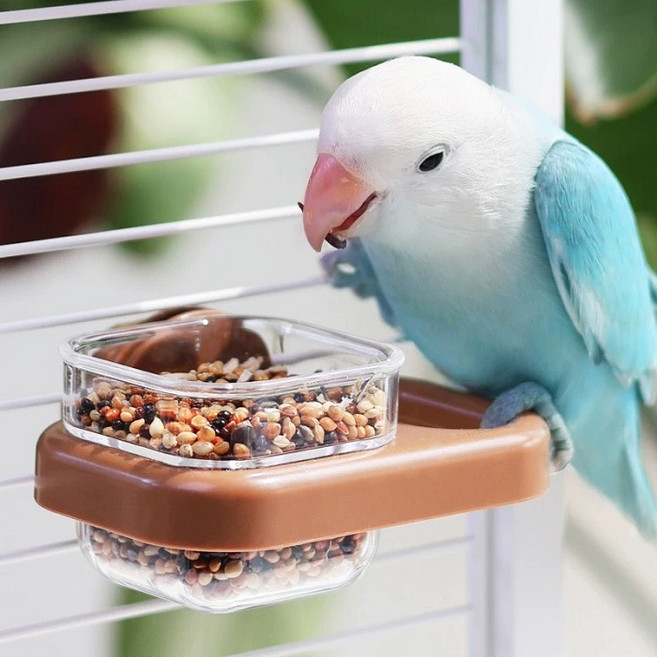 시웨이 앵무새 높이조절 걸이형 급식기 모이통 조류, 1개, 브라운