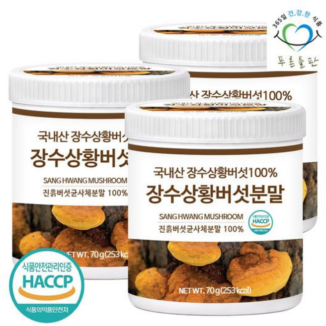 푸른들판 국내산 장수 상황 버섯 분말 가루 70gx3통 진흙버섯 균사체 분말, 3세트
