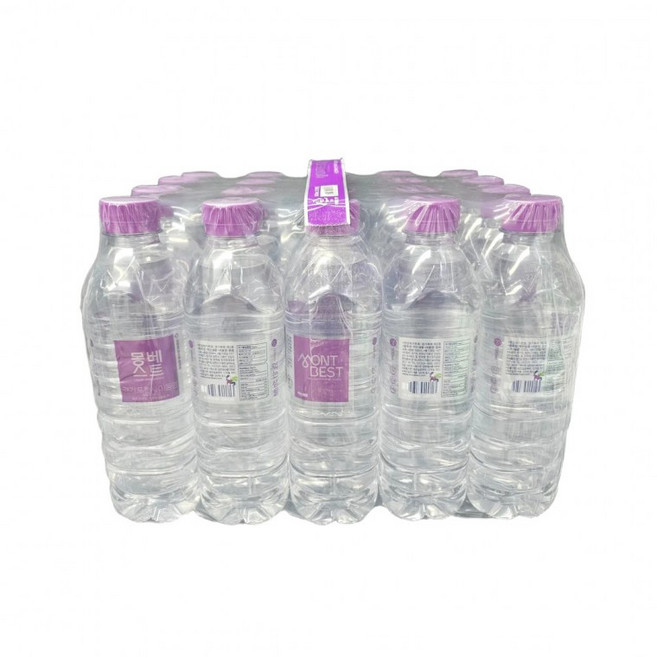 몽베스트 샘물 500ml x 20병