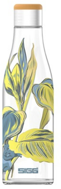 [SIGG] 지그 메티스 수마트라 글라스 워터 보틀 600ml 요가 스포츠 물병 유리 물병 보틀, 1개, 마키
