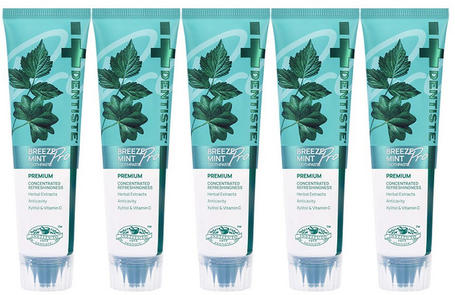 [공식몰] 덴티스테 브리즈민트 프로 여행용 치약 60g, 5개