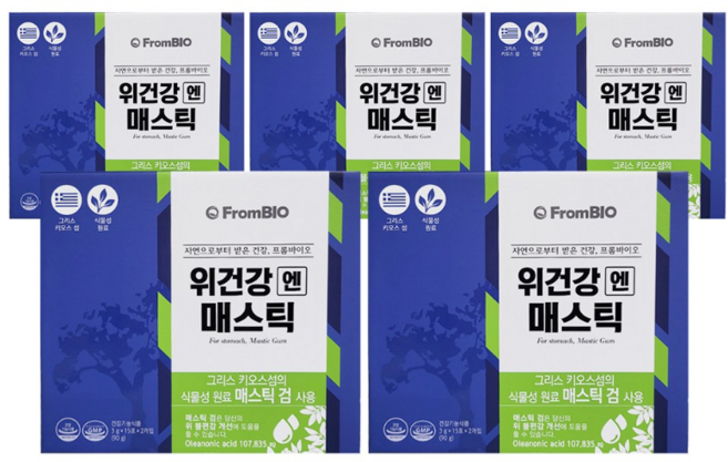 위건강 엔 매스틱, 45g, 10개
