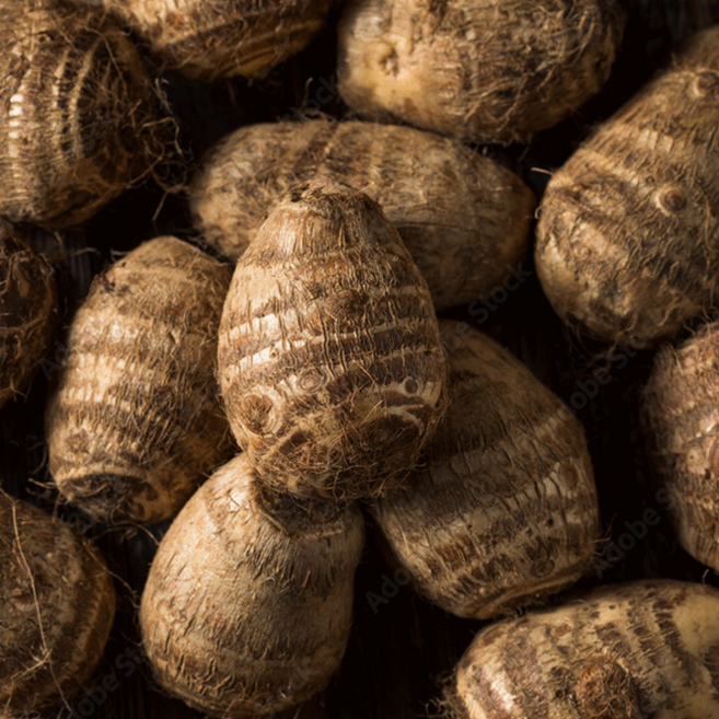 정푸드 국내산 흙토란 곡성 토란 알토란, 10kg 토란 소(작은 토란), 1개