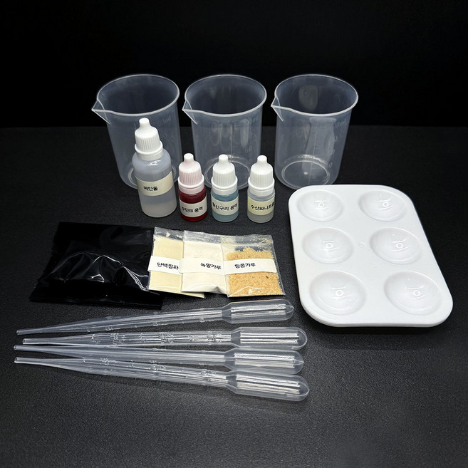 예스 탄단지 영양소 검출 실험 키트 | 교과 연계 과학 체험 세트 YES-C6, 1세트