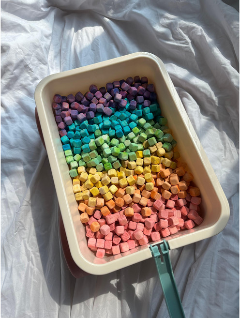 무지개편백나무, 1개