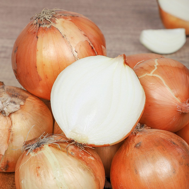 신선하랑 26년 수확 단단한 국내산 햇 양파, 1개, 햇양파 1kg 중소(개당 150g이하)