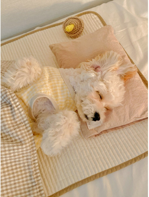 [개달당]강아지 말랑 베개 쿠션, 퍼플, 1개