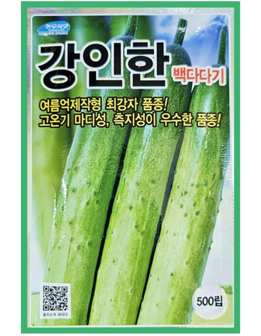 강인한백다다기오이500립 여름오이 가을오이씨, 1개