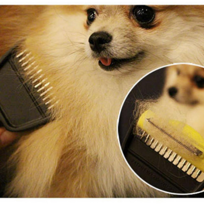 쉐드킬러 죽은털 브러시 애견브러시 빗 미용용품, 상세페이지 참조, 1개