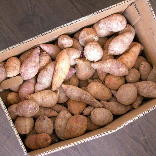 파머스넷 한입 고구마, 1박스, 5kg 한입(60g 이하)