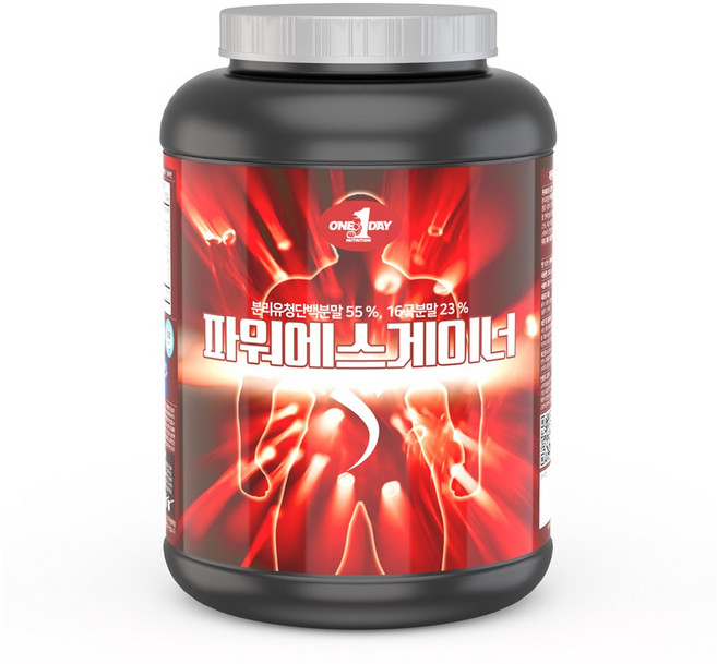 원데이뉴트리션 파워 에스 게이너 헬스 보충제, 2kg, 1개