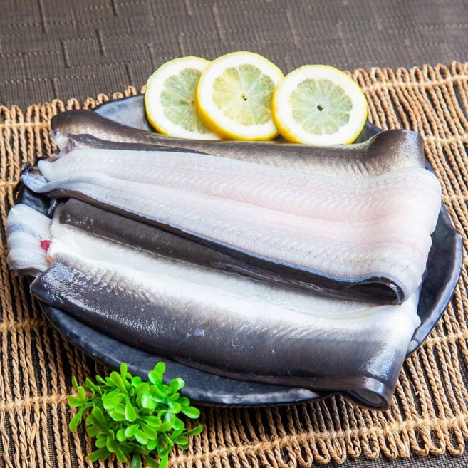 국내산 장어 고창 자포니카 풍천 민물장어 1kg, 1개