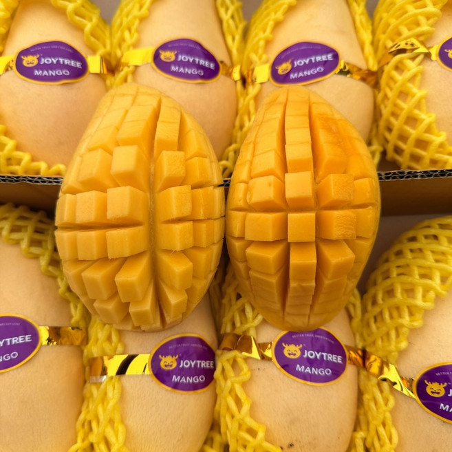 맛통령 태국 골드망고, 1박스, 골드망고 2kg내외 (6과)