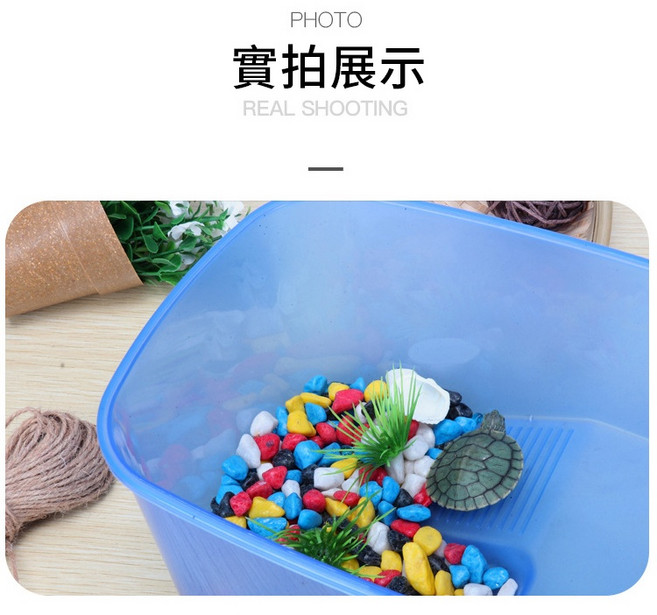 PJ小舖 烏龜缸 水龜 澤龜 龜盆 烏龜爬蟲兩棲生態盆 水缸 飼養盒 爬蟲缸 水陸兩棲 魚缸 飼養箱, 白色款,小號(23*16*10公分), 1個, 1L
