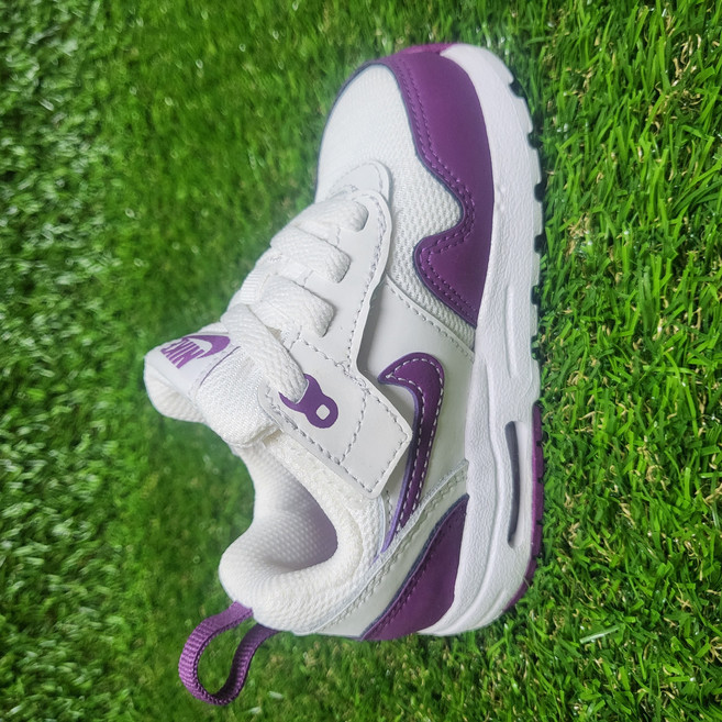 나이키 에어맥스 1 이지온 서밋 화이트 바이오테크