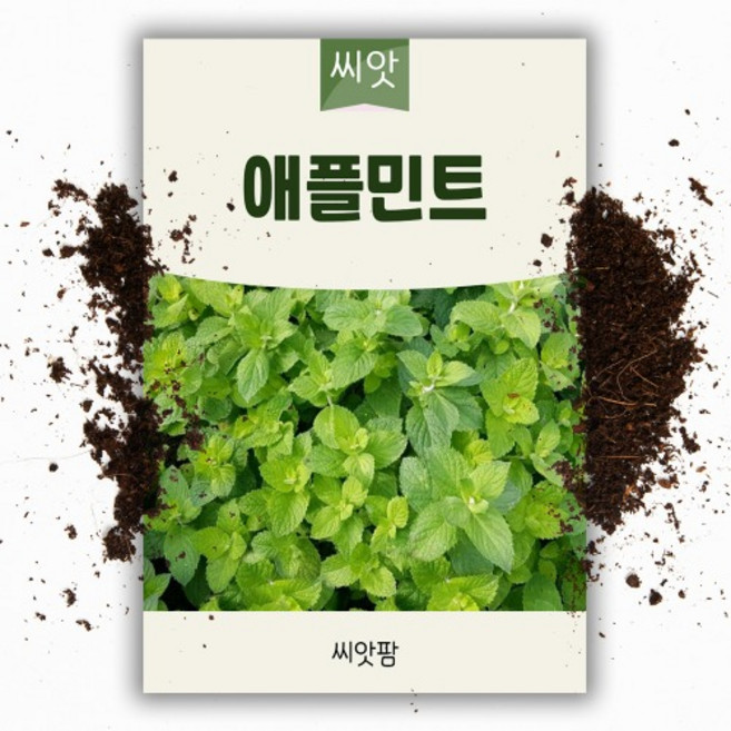 애플민트 씨앗 30립 허브 씨앗 종자
