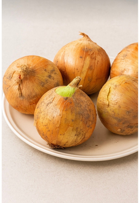 국내산 양파 산지직송 3kg 5kg 10kg, 1개, 5kg 중