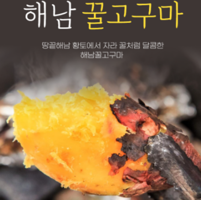 (세척) 해남 햇 꿀고구마 베니하루카 고당도 꼬마 한입 고구마, 1박스, 10kg(중)