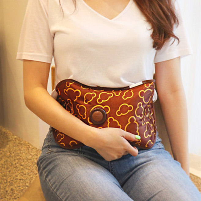 한양 온수 충전식 전기 핫팩 찜질팩 찜질기 기본형 HA, HA-01 갈색