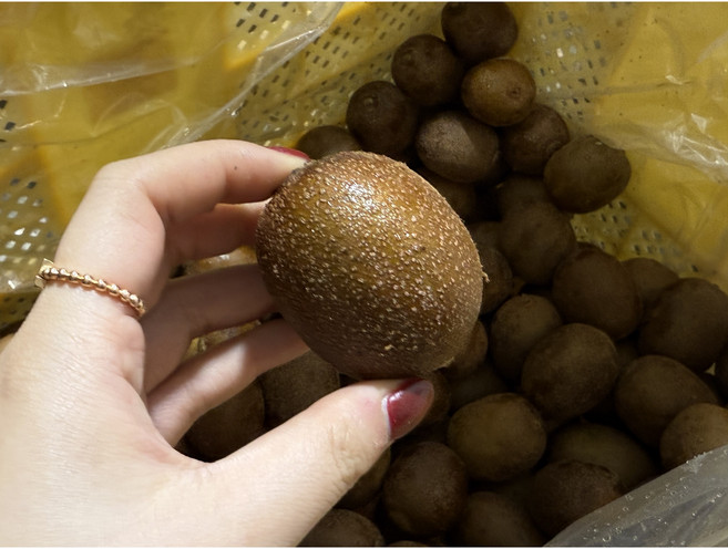 <품담> 신선한 제철 골드키위/국산 골드키위/신선과일, 1박스, 3kg 주스용 골드팩(60g이하)