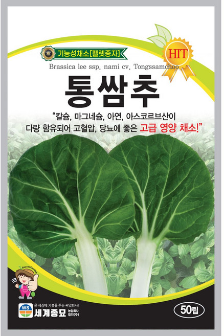 상추 모듬 종자 씨앗 쌈채소 샐러드 수경재배 [오디가 ODIGA], 1개, 통쌈추