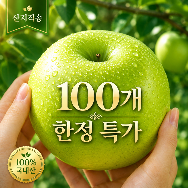 [초특가] 고당도 썸머킹 아오리사과 햇 청사과 산지직송, 1박스, 2kg