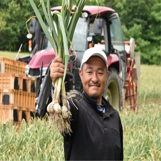 [실속 산지직송 특가] 구지 햇 통마늘 1kg (소/중), 1박스, 4kg (소/중) 창고형