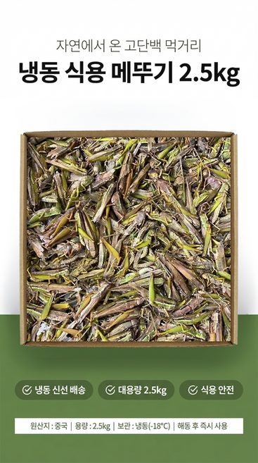 가리봉상회 중국산 냉동 식용메뚜기, 1박스, 2.5kg