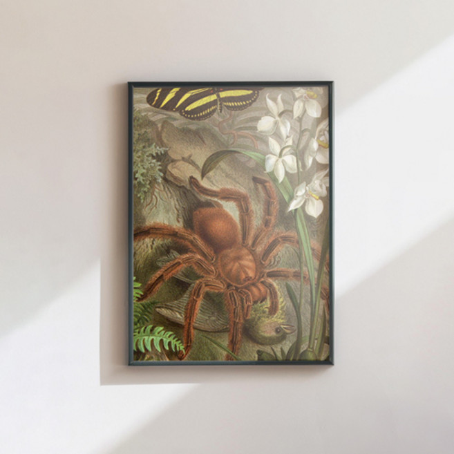 알프레드 브렘 명화 인테리어 아트 포스터 16종 컨티뉴 앙리 마티스 반고흐 미술관, no6, a1