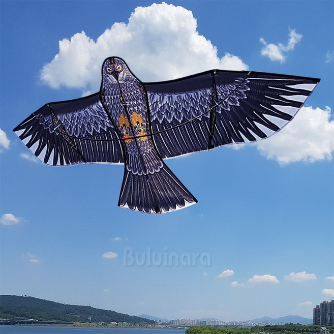 불의나라 킬러이글카이트 새쫓는독수리연 (연날리기 체험학습 대형연) 연날리기, 1개