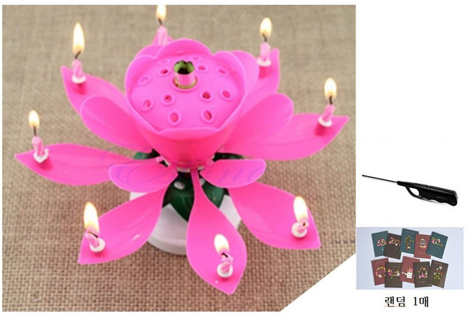 생일 축하 세트 (연꽃촛불 +카드 1매 +점화기 )