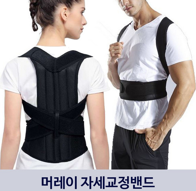 머레이 자세 바른자세 굽은등 체형교정 밴드 척추 어깨 밴드 PCB-150 허리보정, L