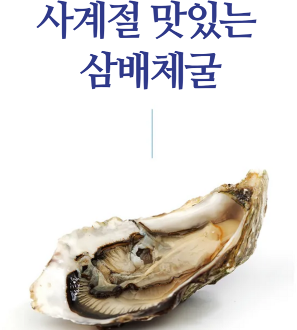 특별한 석화 고흥 삼배체굴 일년 내내 일정한크기의 비리지않고 달달 담백한 프리미엄 생굴 1kg 3kg 5kg, 1개, 삼배체굴 1kg